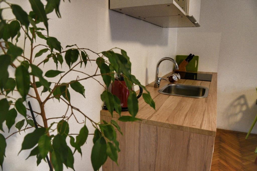 Two Flowers Apartments Zagreb Extérieur photo